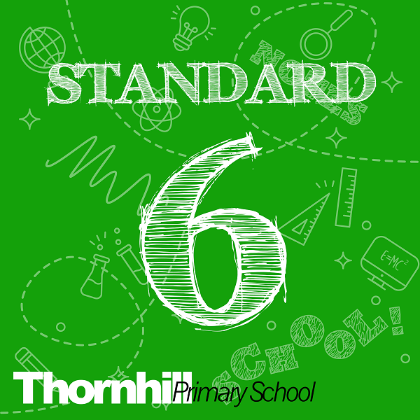 Std 6 Pack.  Price includes Optional Label Pack.