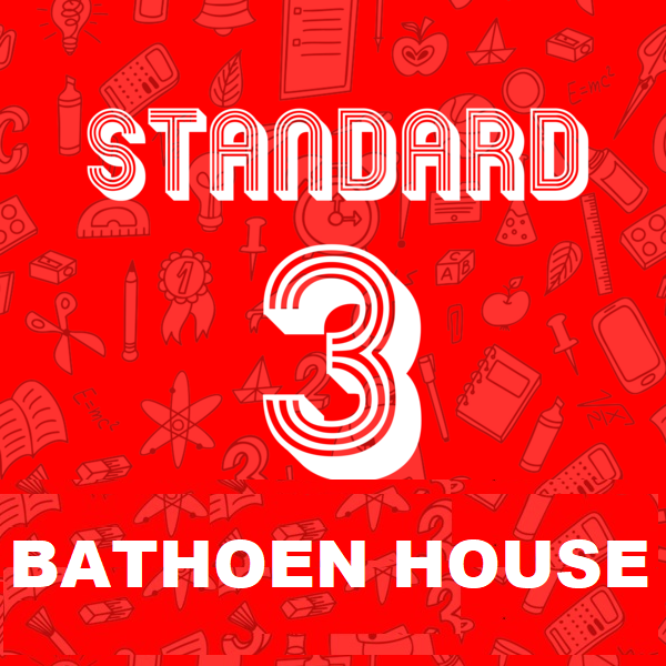 Std 3 Pack. Price includes Optional Label Pack