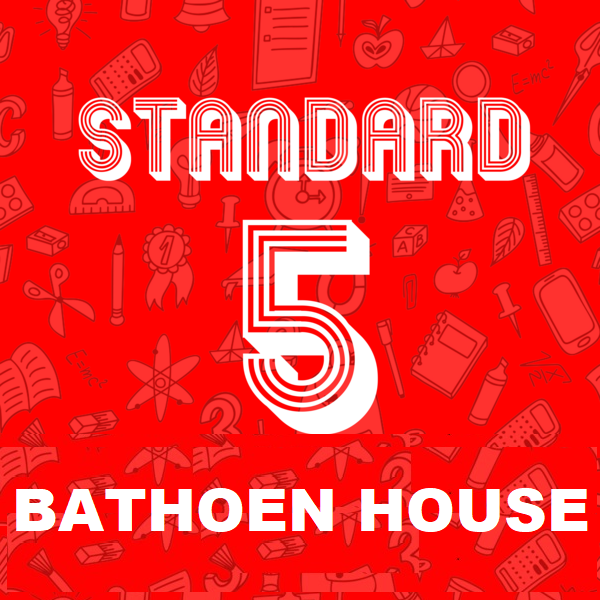 Std 5 Pack. Price includes Optional Label Pack