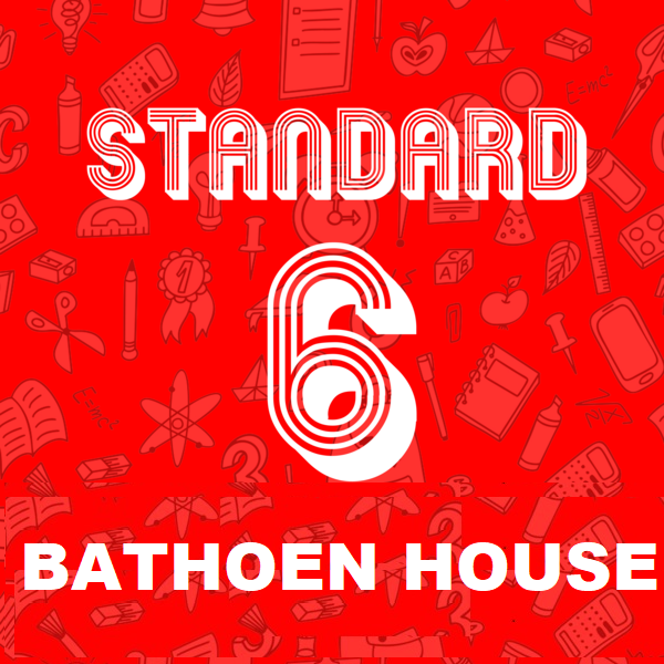 Std 6 Pack.  Price includes Optional Label Pack.